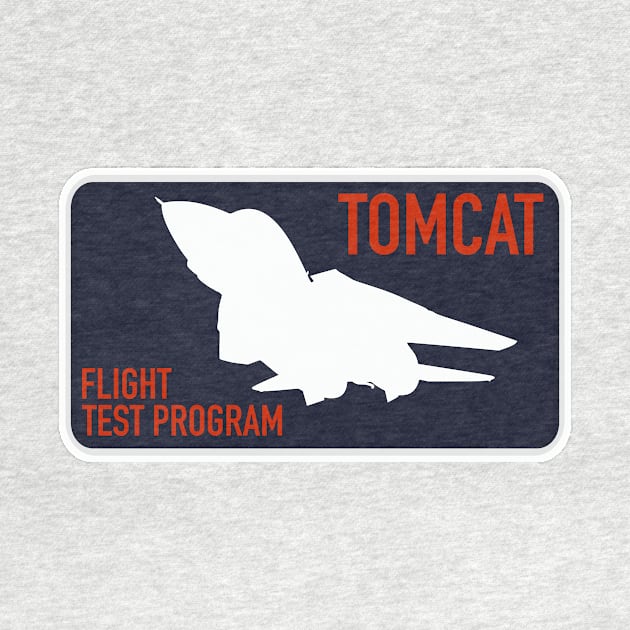 F-14 Tomcat by Firemission45